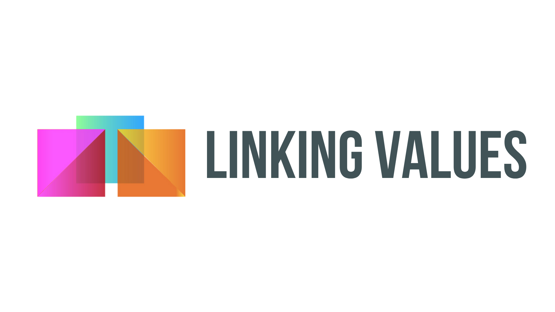 Linking Values Logo